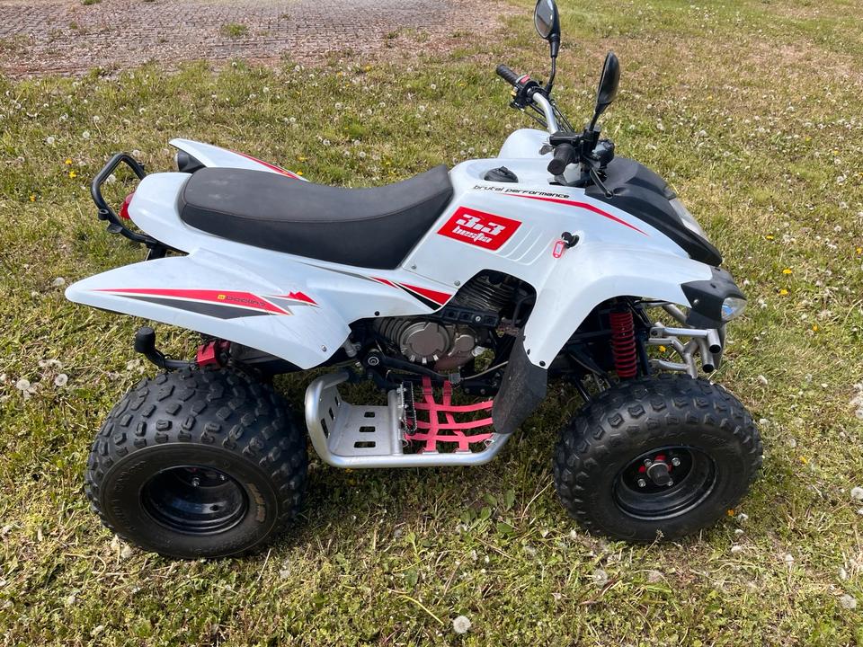 Weitere Motorräder Quad Bestia Beeline 3.3 2013 — engine 300 ccm