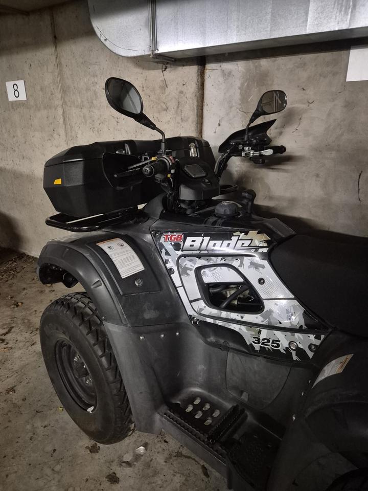 Weitere Motorräder TGB Blade Quad 2013 — photo 5