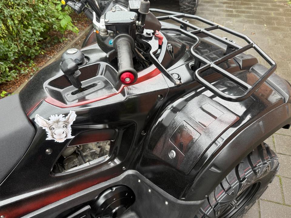  Quad ATV Tgb Blade 500 Lof 4x4 2013 — interior