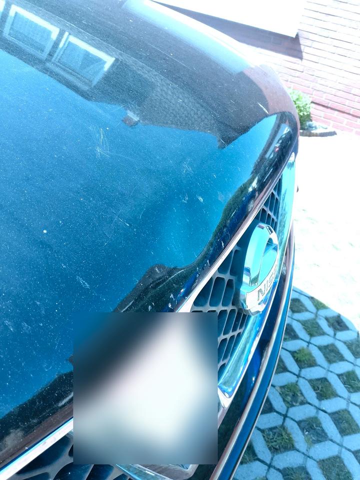 Nissan Navara 2007 — photo 9
