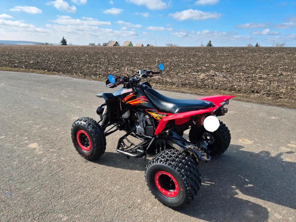 Suzuki LTZ 400 Quad, LOF Zulassung, Limited Edition, FMF 2010 — вигляд ззаду