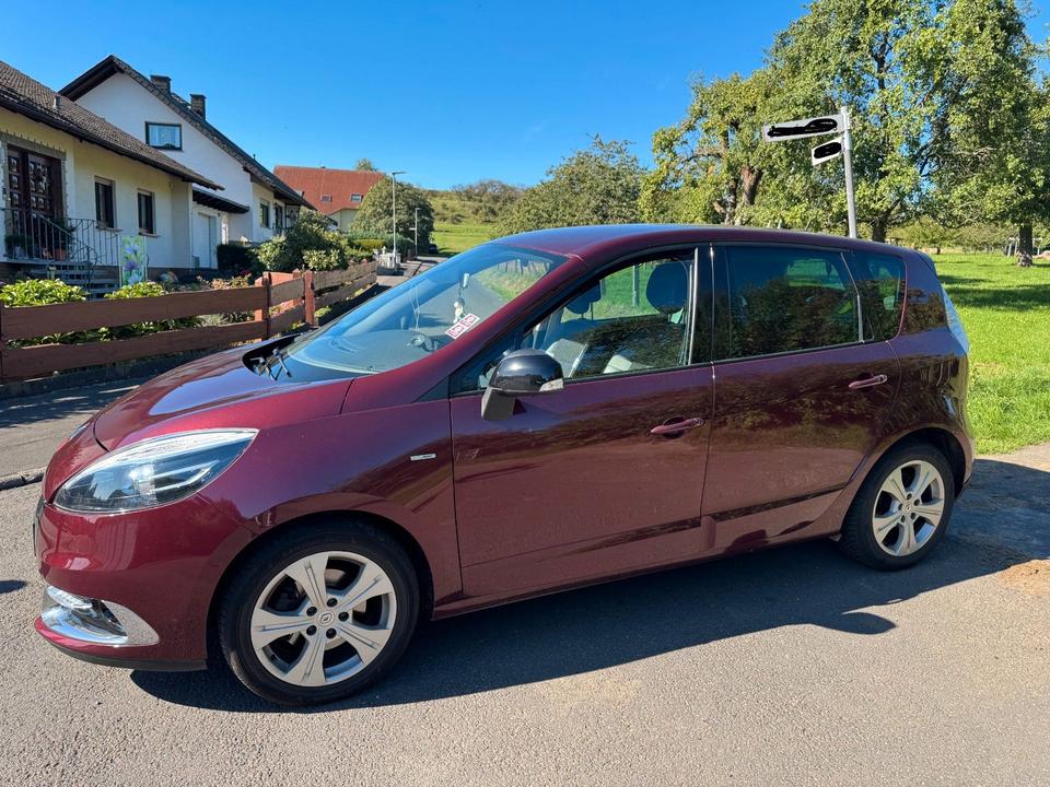 Renault Scenic 2012 — вигляд ззаду