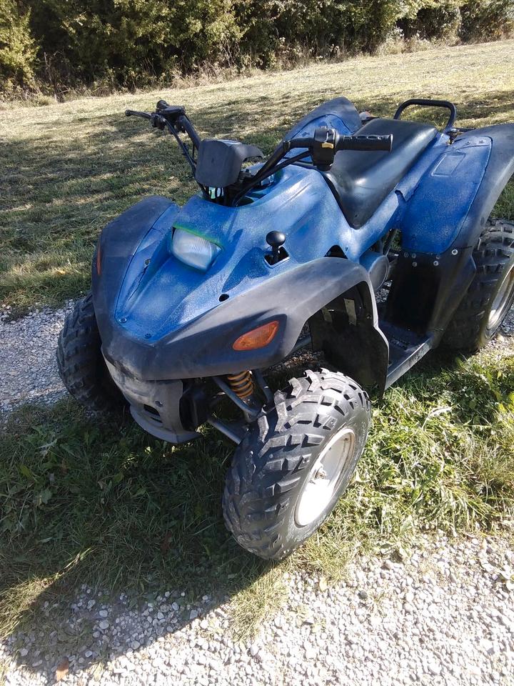 Weitere Motorräder Gelöscht • SMC Quad 170 2009 — rear view