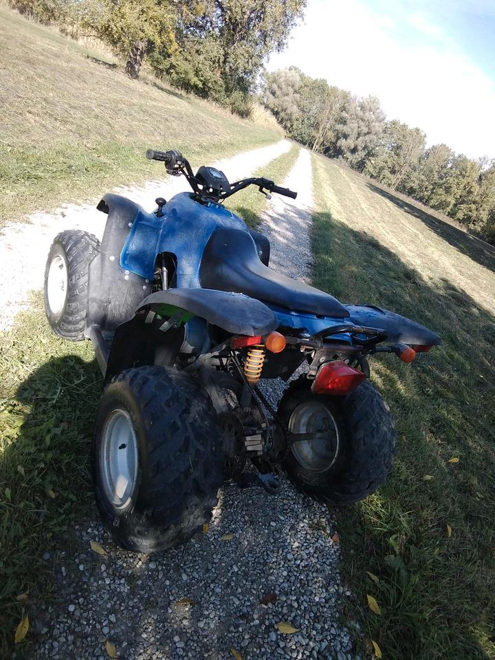 Weitere Motorräder Gelöscht • SMC Quad 170 2009 — photo 5
