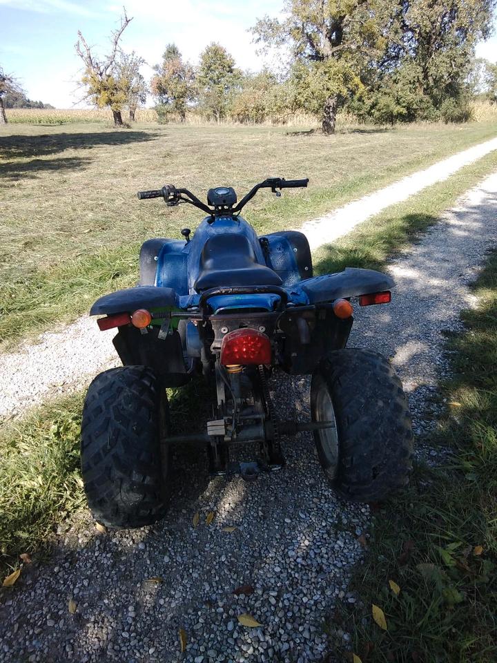Weitere Motorräder Gelöscht • SMC Quad 170 2009 — photo 6