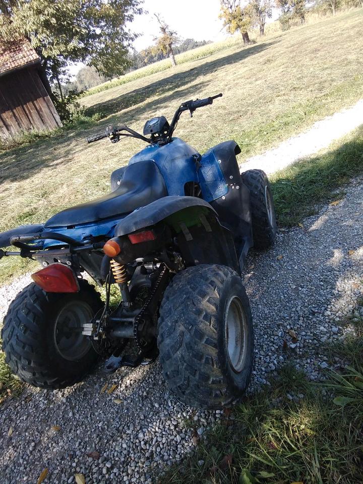 Weitere Motorräder Gelöscht • SMC Quad 170 2009 — photo 7