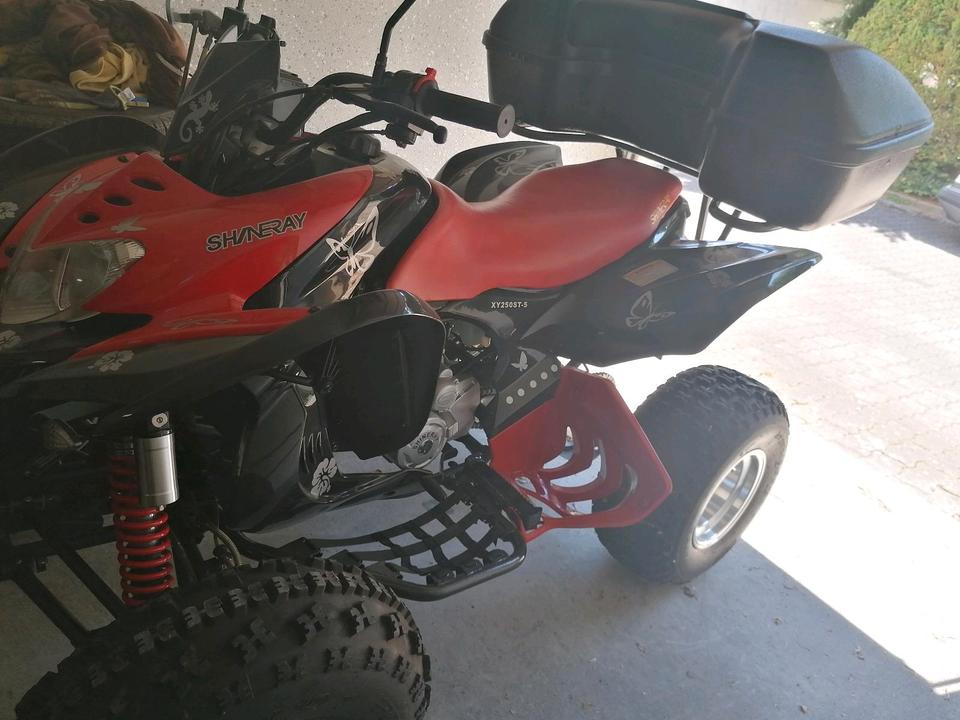 Weitere Motorräder Gelöscht • Quad Shinary XY 250ST-5 2015 — rear view