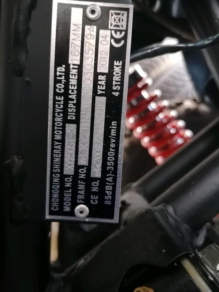 Weitere Motorräder Gelöscht • Quad Shinary XY 250ST-5 2015 — interior