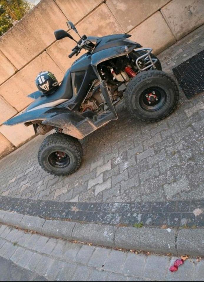 Weitere Motorräder Adly Moto ATV 320 2009 — engine 320 ccm