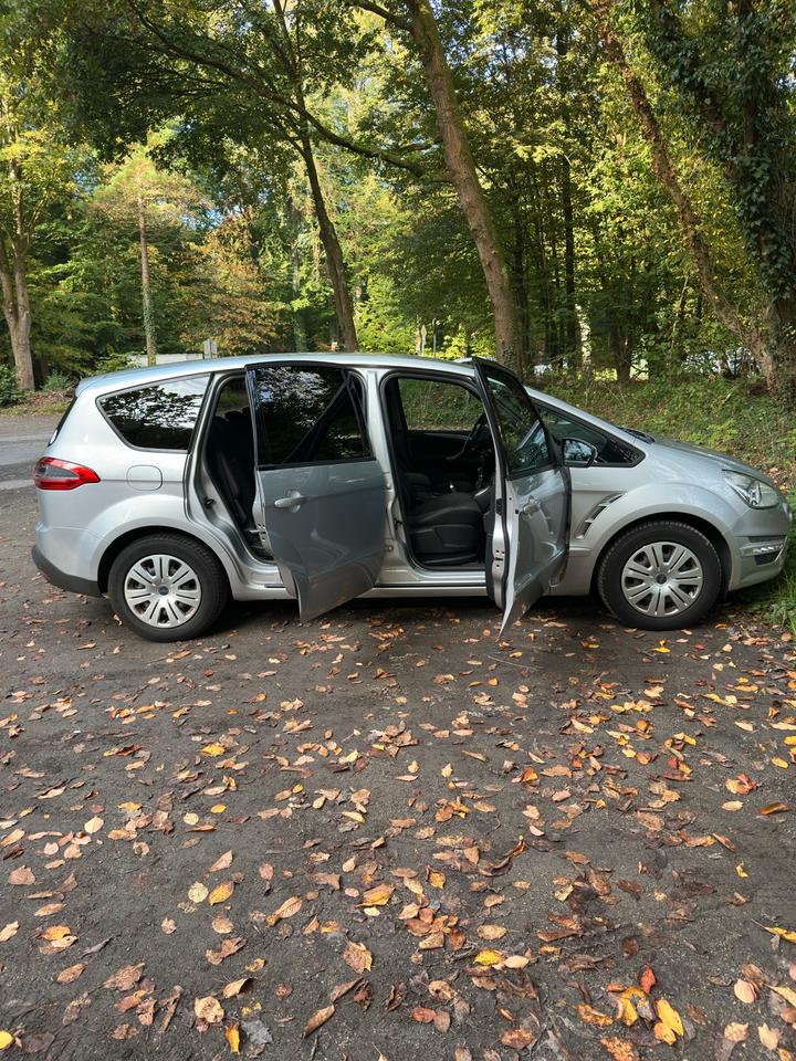 Ford S-Max 2010 — photo 11