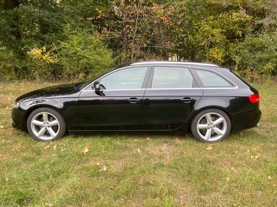 Audi A4 2008 — photo 5