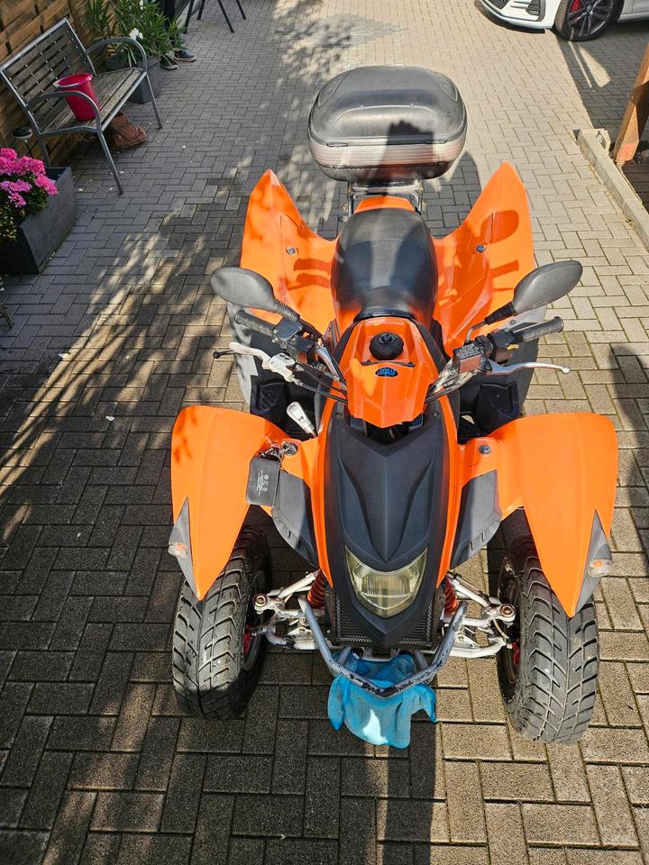  Quad Adly 320 4valve 2009 — rear view