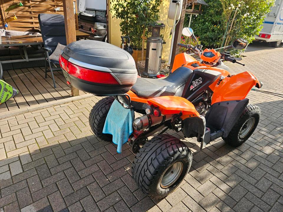  Quad Adly 320 4valve 2009 — engine 300 ccm