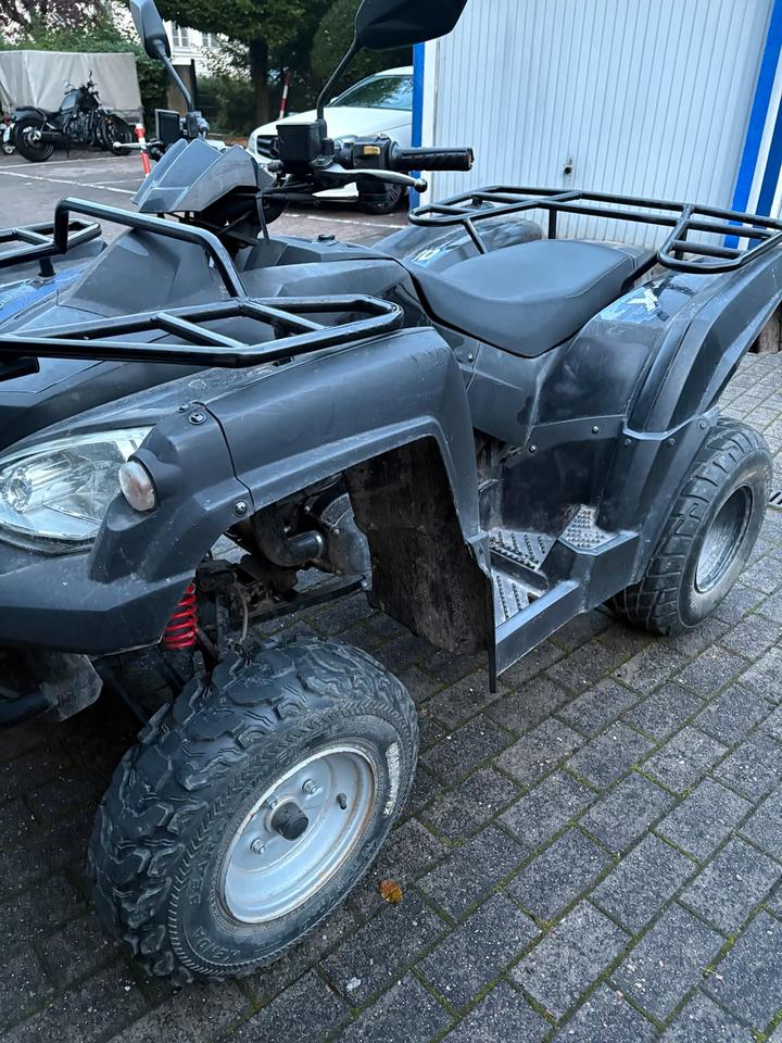 Weitere Motorräder Quad Online 3.2 2014 — rear view