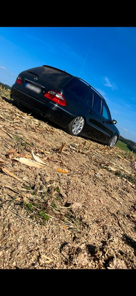 Mercedes Benz E 280 2008 — rear view