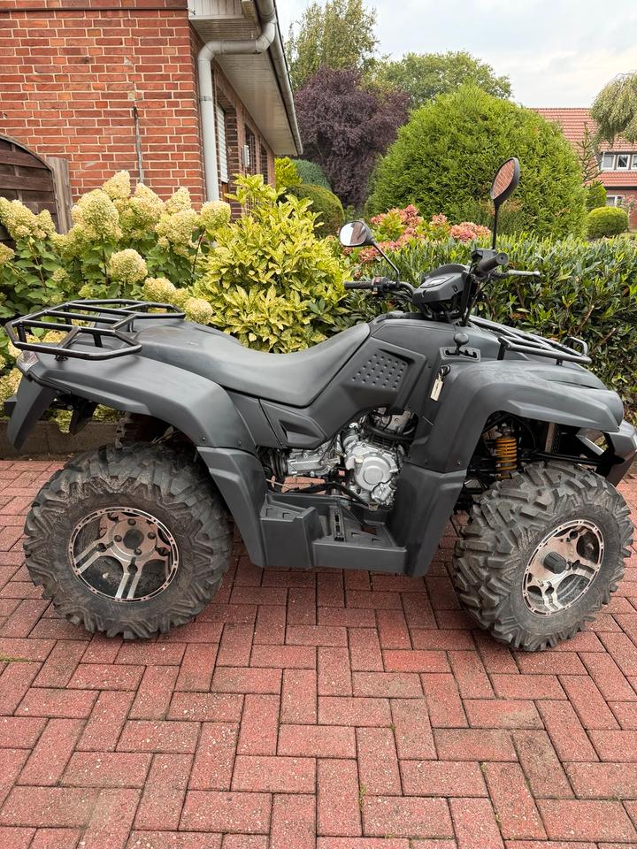  Quad ATV 320ccm 2014 — engine 320 ccm