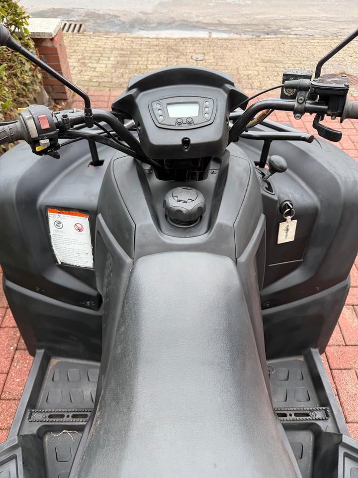  Quad ATV 320ccm 2014 — photo 6