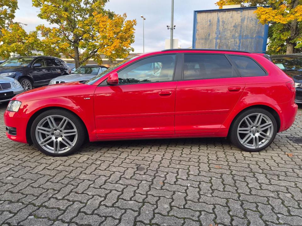 Audi A3 2009 — rear view