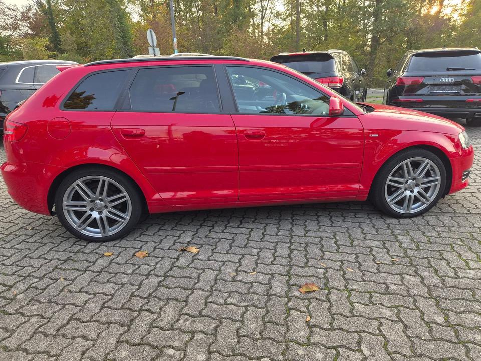 Audi A3 2009 — photo 5