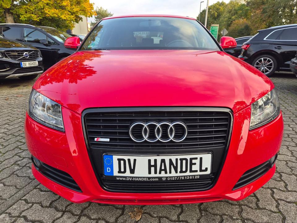 Audi A3 2009 — photo 6