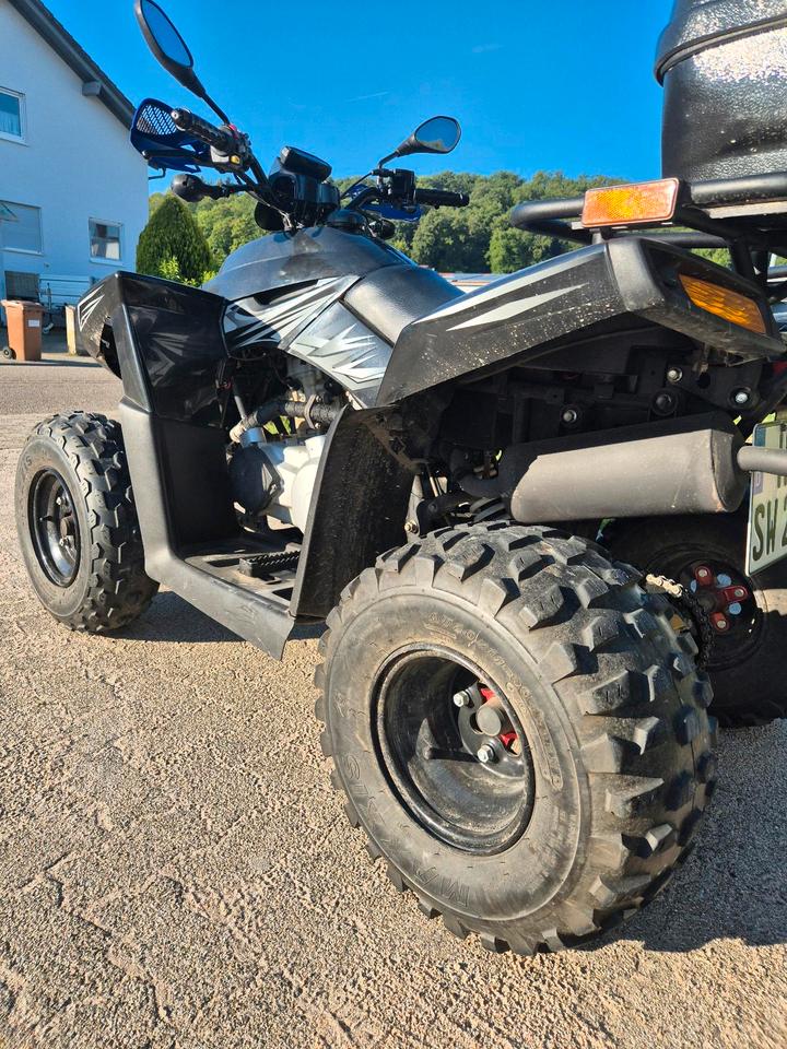 Weitere Motorräder Dinli 300 quad 2012 — rear view