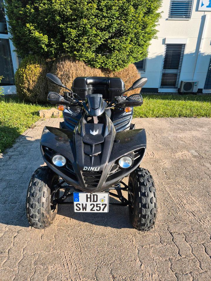 Weitere Motorräder Dinli 300 quad 2012 — interior