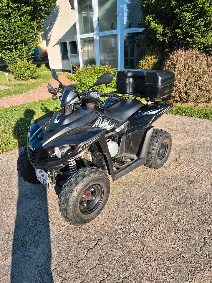 Weitere Motorräder Dinli 300 quad 2012 — engine 300 ccm