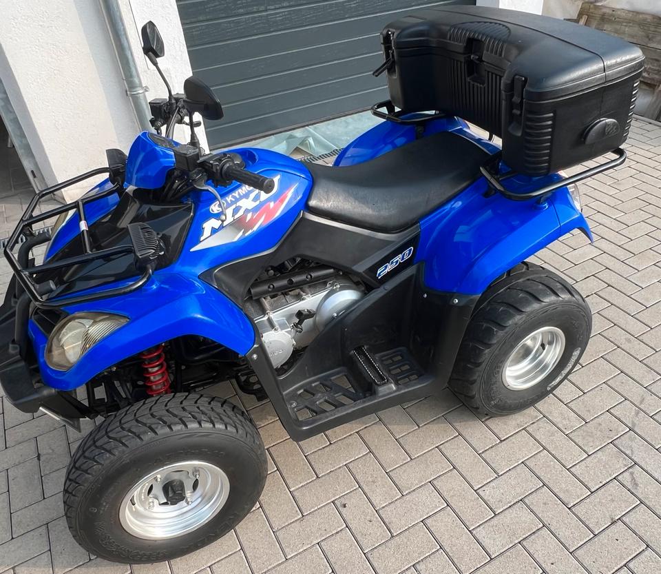 Kymco MXU 250 ATV Quad 2005 — engine 250 ccm