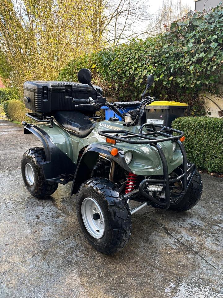 Weitere Motorräder Quad Adly Moto Automatik ATV 150 Tausch möglich ‼️ 2004 — вигляд ззаду