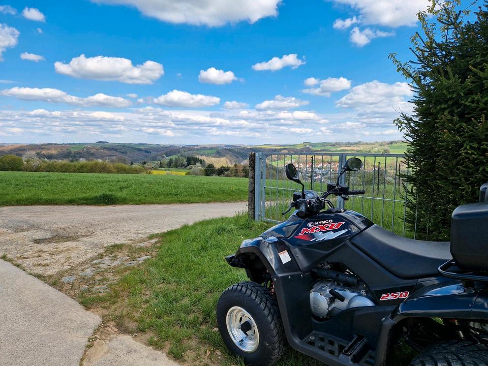 Kymco Quad ATV Kymco 2015 — photo 5