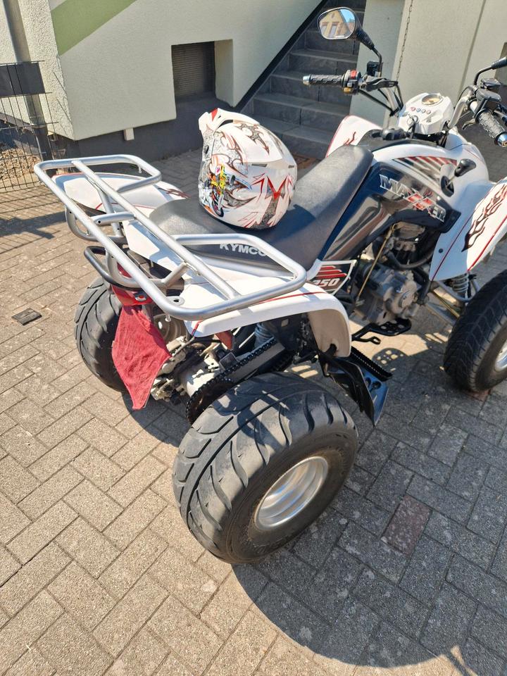 Kymco Quad KYMCO Maxxer 250 / TÜV neu 10.2028 2011 — rear view