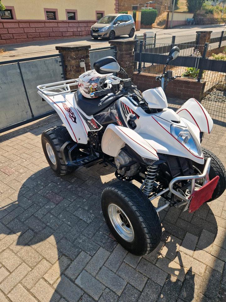 Kymco Quad KYMCO Maxxer 250 / TÜV neu 10.2028 2011 — photo 5