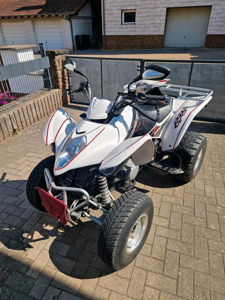 Kymco Quad KYMCO Maxxer 250 / TÜV neu 10.2028 2011 — photo 6