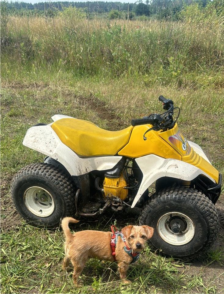 Suzuki lt 80 Kinder Quad 2007 — vehicle for AFU Ukraine