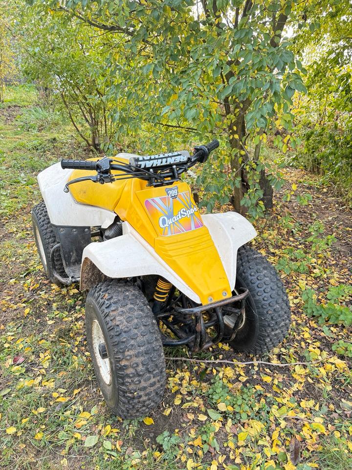 Suzuki lt 80 Kinder Quad, 2007