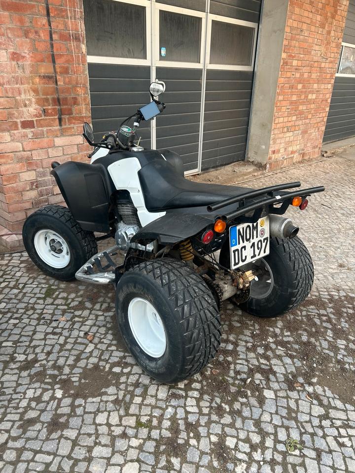  SMC 250ccm 2005 — rear view