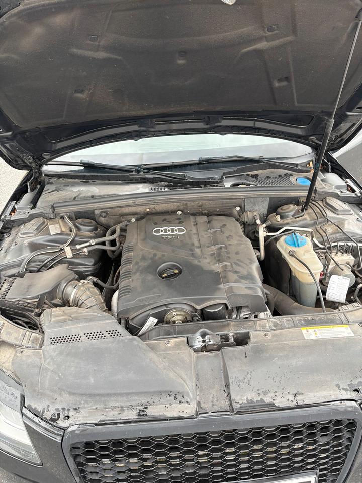 Audi A4 2010 — photo 12