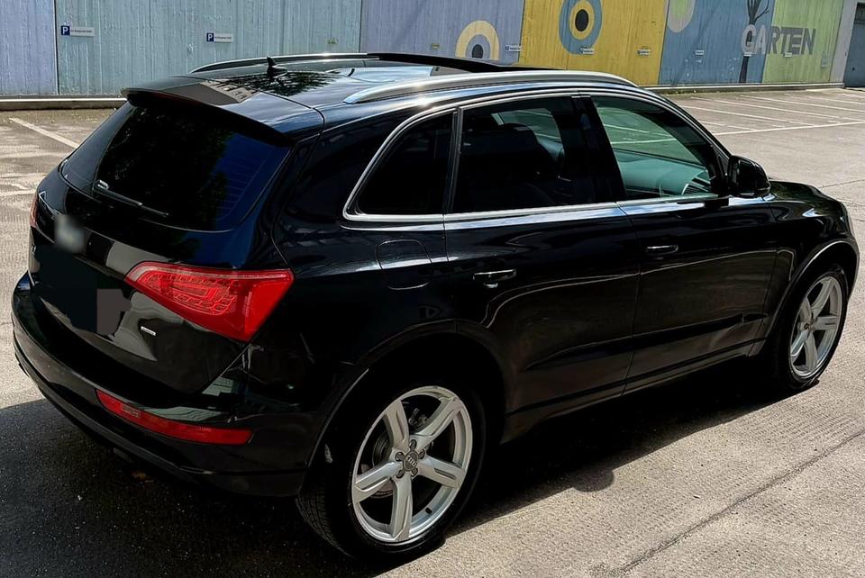 Audi Q5 2009 — вигляд ззаду