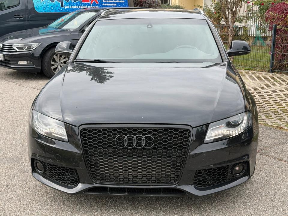 Audi A4 2008 — вигляд ззаду