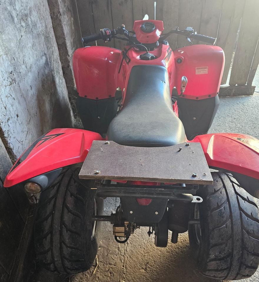 Weitere Motorräder Quad ATV - an Bastler 2006 — rear view