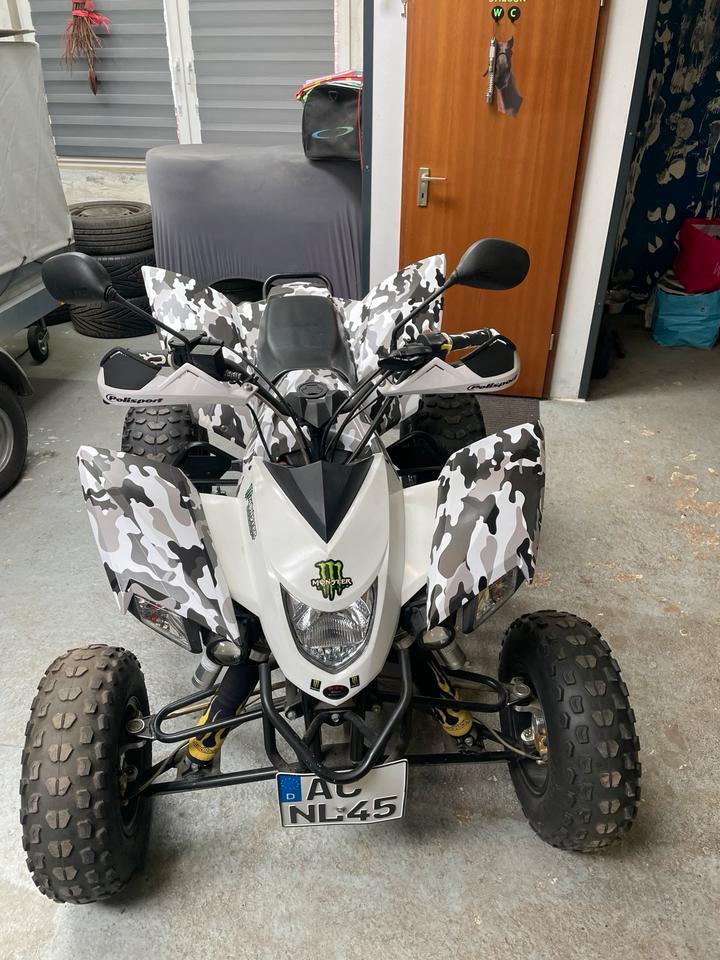 Weitere Motorräder Quad SMC RAM 520rr 2012 — вигляд ззаду
