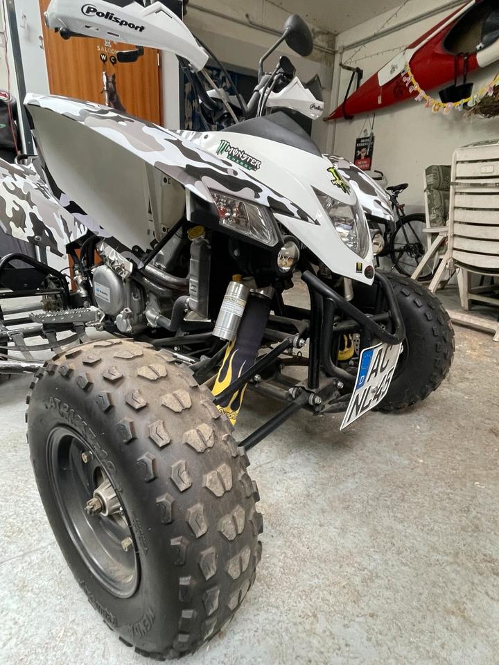 Weitere Motorräder Quad SMC RAM 520rr 2012 — двигун 500 ccm