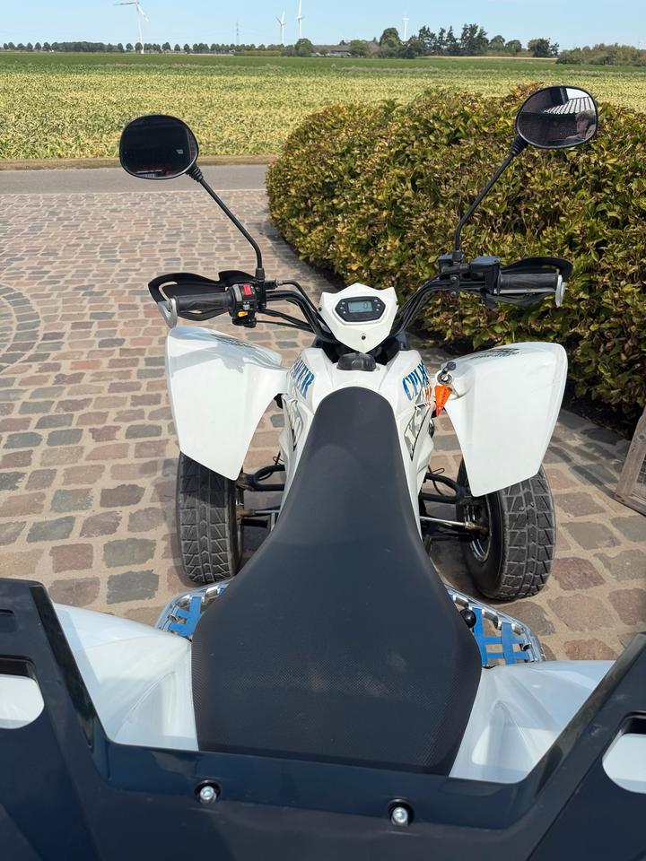  Quad cpi xs 250ccm 2008 — engine 250 ccm