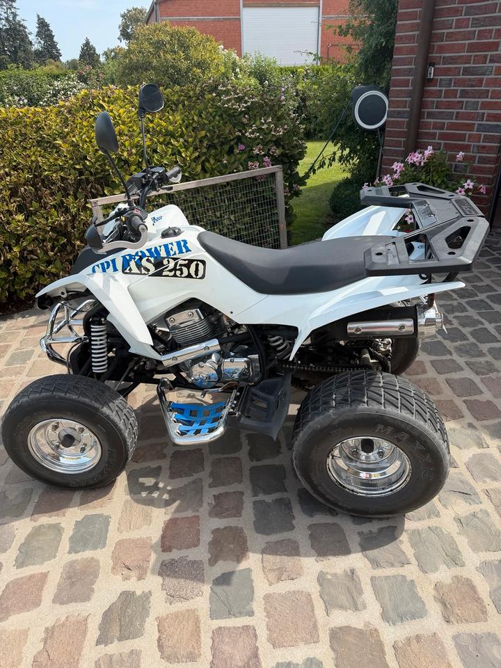  Quad cpi xs 250ccm 2008 — photo 5