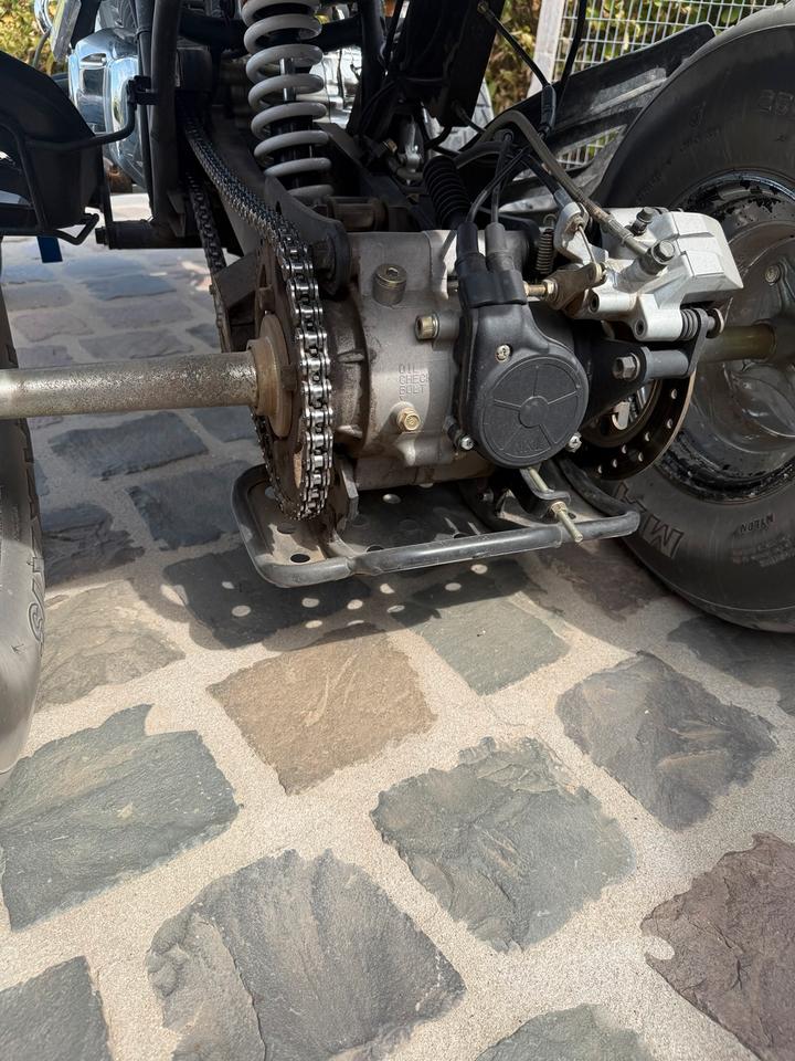  Quad cpi xs 250ccm 2008 — photo 7