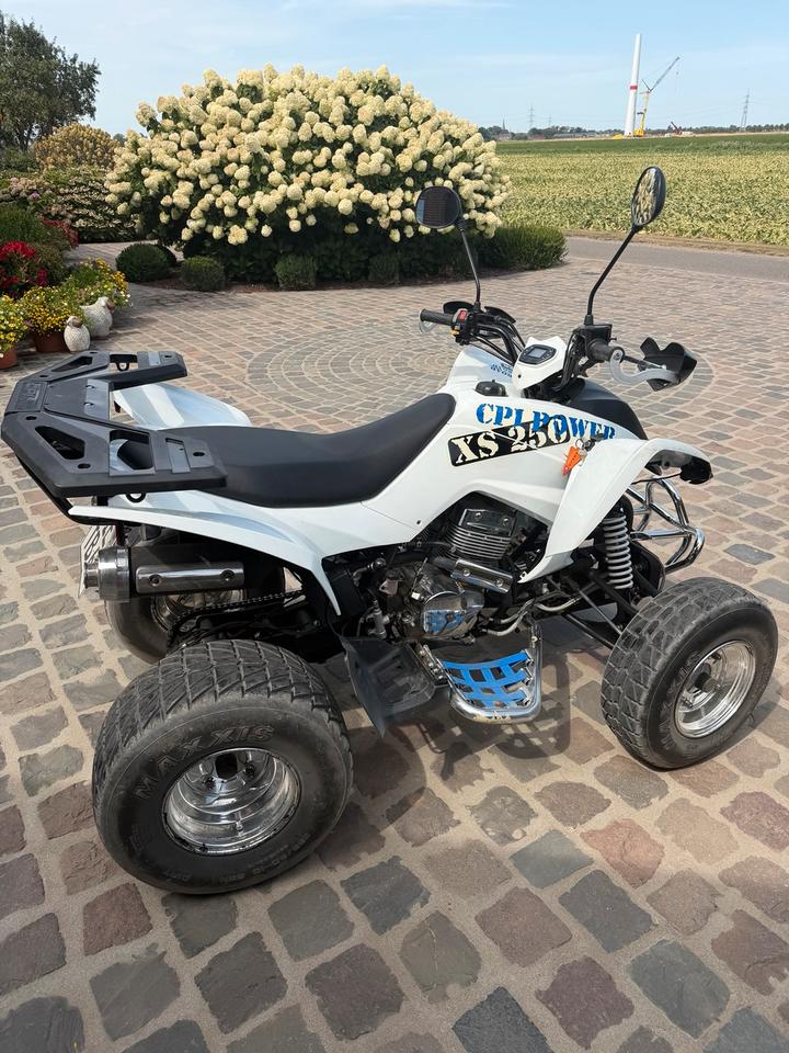  Quad cpi xs 250ccm 2008 — photo 8
