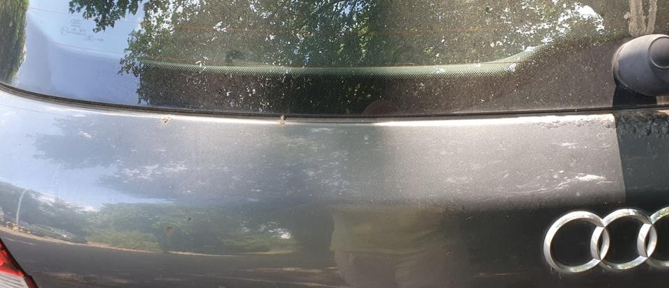 Audi A4 2004 — photo 7