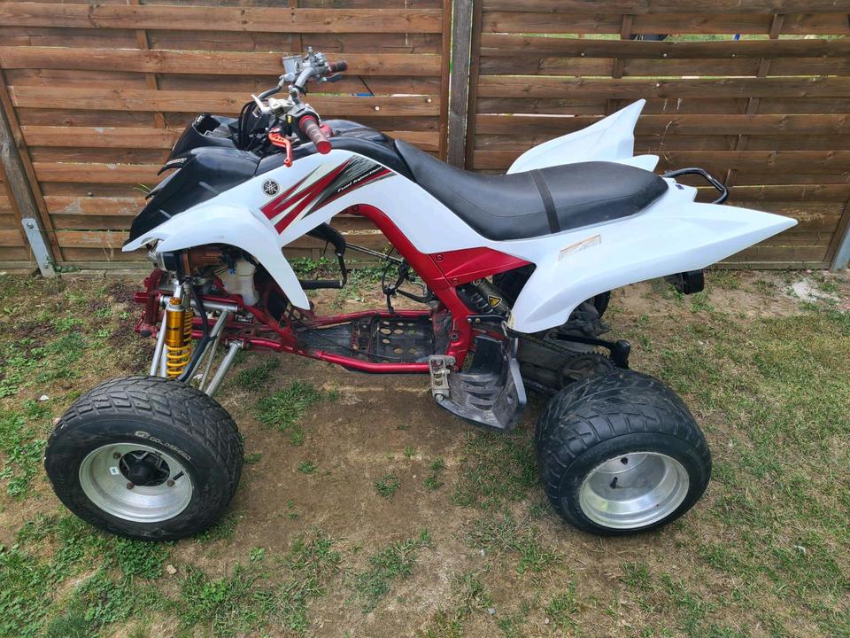 Yamaha Raptor 700 LOF Motorschaden TUV 2009 — вигляд ззаду
