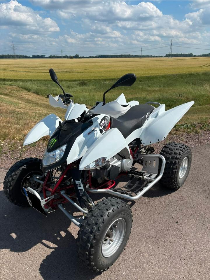 Weitere Motorräder Triton Baja 300 – Zuverlässiges ATV/ Quad mit nur 6.712 km 2012 — вигляд ззаду