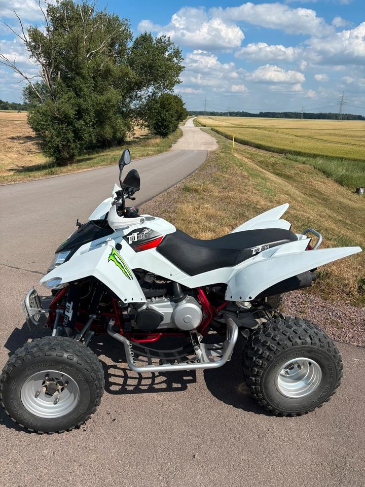 Weitere Motorräder Triton Baja 300 – Zuverlässiges ATV/ Quad mit nur 6.712 km 2012 — салон